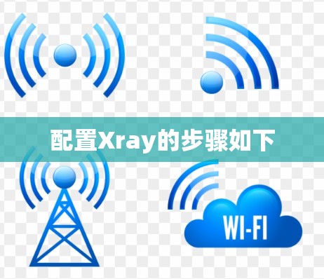 配置Xray的步骤如下 配置Xray的步骤如下