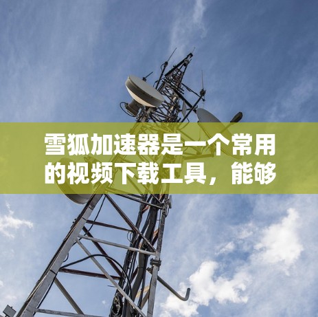 雪狐加速器是一个常用的视频下载工具，能够帮助用户快速下载在线视频。以下是雪狐加速器的下载和安装步骤