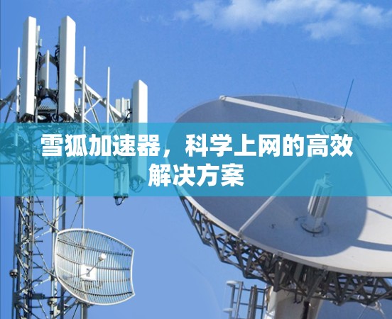雪狐加速器，科学上网的高效解决方案