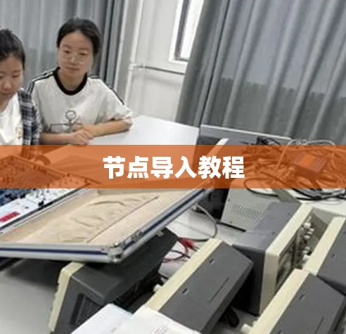 节点导入教程 节点导入教程