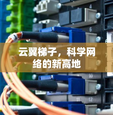 云翼梯子，科学网络的新高地