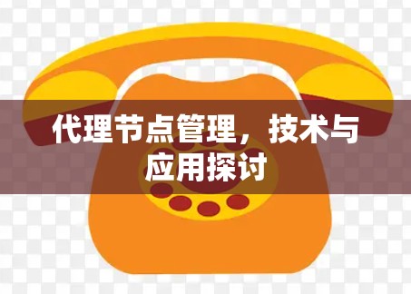 代理节点管理,技术与应用探讨 代理节点管理,技术与应用探讨