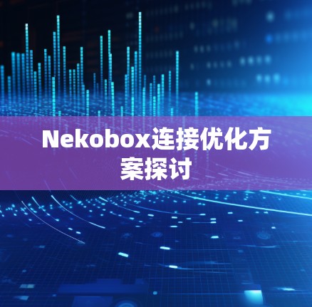 Nekobox连接优化方案探讨 Nekobox连接优化方案探讨