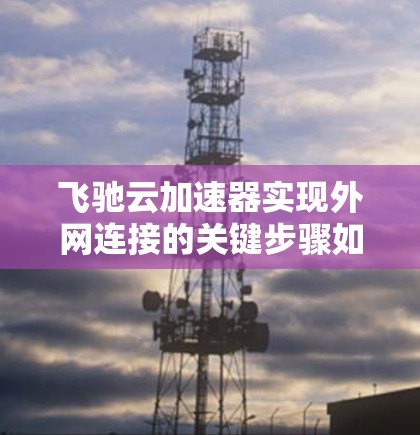 飞驰云加速器实现外网连接的关键步骤如下 飞驰云加速器实现外网连接的关键步骤如下