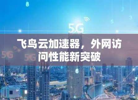 飞鸟云加速器,外网访问性能新突破 飞鸟云加速器,外网访问性能新突破