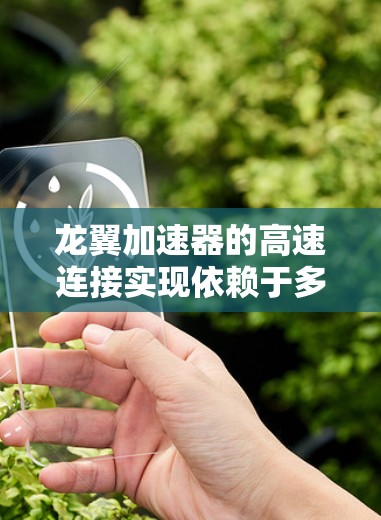 龙翼加速器的高速连接实现依赖于多个关键技术和因素,以下是对其高速连接的详细分析 龙翼加速器的高速连接实现依赖于多个关键技术和因素,以下是对其高速连接的详细分析