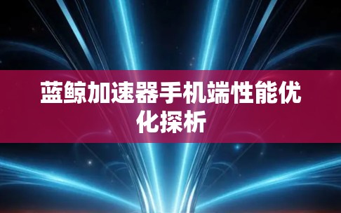 蓝鲸加速器手机端性能优化探析 蓝鲸加速器手机端性能优化探析