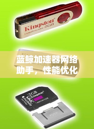 蓝鲸加速器网络助手,性能优化与效率提升的无缝解决方案 蓝鲸加速器网络助手,性能优化与效率提升的无缝解决方案