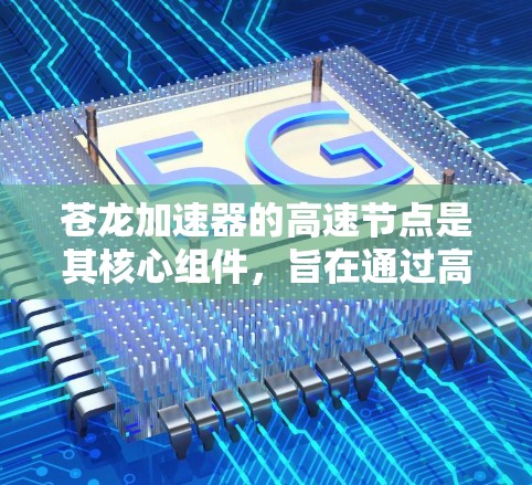 苍龙加速器的高速节点是其核心组件,旨在通过高效的计算能力加速数据处理和模型训练任务。以下是对苍龙加速器高速节点的详细分析 苍龙加速器的高速节点是其核心组件,旨在通过高效的计算能力加速数据处理和模型训练任务。以下是对苍龙加速器高速节点的详细分析