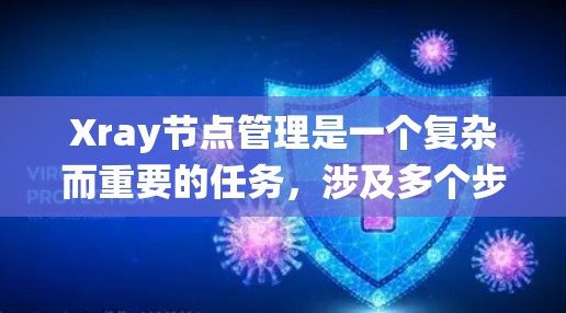 Xray节点管理是一个复杂而重要的任务，涉及多个步骤和考虑因素。以下是对Xray节点管理的系统化总结，帮助您全面掌握这一过程