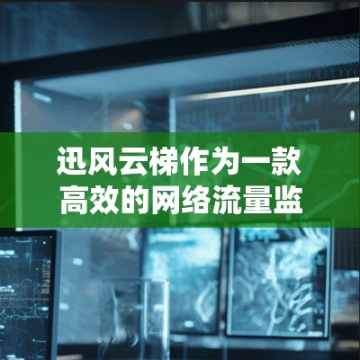 迅风云梯作为一款高效的网络流量监控和安全防护系统,能够帮助企业实时监控并保护网络流量,防止潜在的安全威胁。以下是使用迅风云梯的分步指南 迅风云梯作为一款高效的网络流量监控和安全防护系统,能够帮助企业实时监控并保护网络流量,防止潜在的安全威胁。以下是使用迅风云梯的分步指南