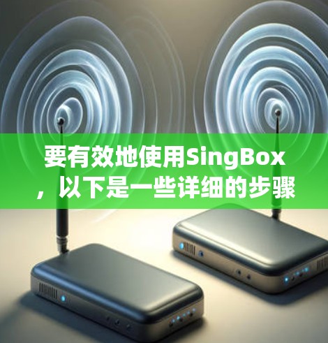 要有效地使用SingBox,以下是一些详细的步骤和建议 要有效地使用SingBox,以下是一些详细的步骤和建议