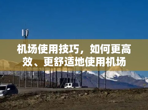 机场使用技巧,如何更高效、更舒适地使用机场 机场使用技巧,如何更高效、更舒适地使用机场