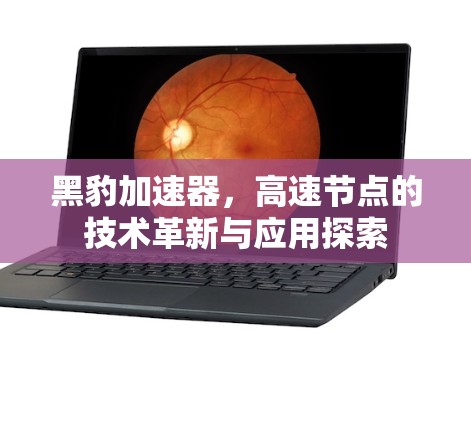 黑豹加速器，高速节点的技术革新与应用探索