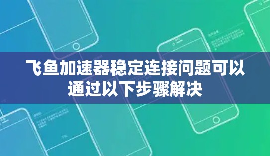 飞鱼加速器稳定连接问题可以通过以下步骤解决 飞鱼加速器稳定连接问题可以通过以下步骤解决