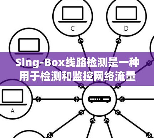 Sing-Box线路检测是一种用于检测和监控网络流量异常的技术，广泛应用于网络安全、流量优化和问题定位等领域。以下是对其的详细解释