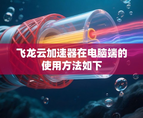 飞龙云加速器在电脑端的使用方法如下 飞龙云加速器在电脑端的使用方法如下