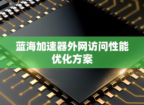 蓝海加速器外网访问性能优化方案 蓝海加速器外网访问性能优化方案