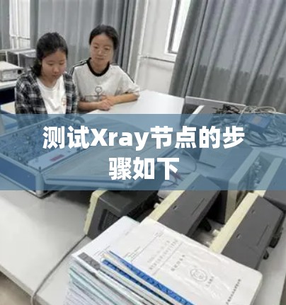 测试Xray节点的步骤如下