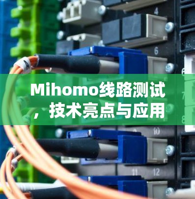 Mihomo线路测试,技术亮点与应用探析 Mihomo线路测试,技术亮点与应用探析