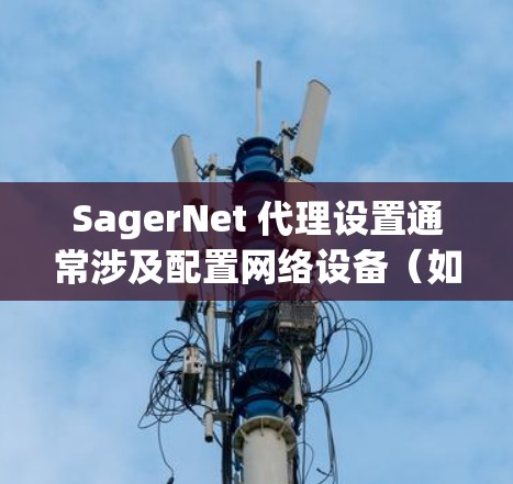 SagerNet 代理设置通常涉及配置网络设备（如防火墙、路由器等）以实现网络流量代理功能。以下是常见的 SagerNet 代理设置步骤和注意事项