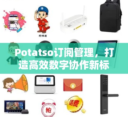 Potatso订阅管理,打造高效数字协作新标准 Potatso订阅管理,打造高效数字协作新标准