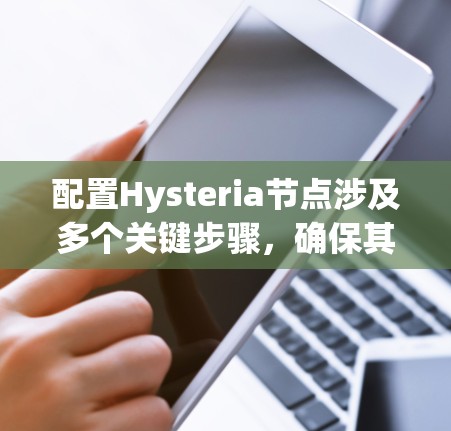 配置Hysteria节点涉及多个关键步骤，确保其安全、隐私和高效运行。以下是详细的配置指南