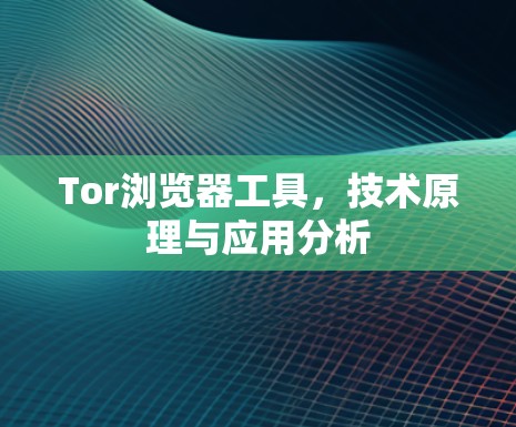 Tor浏览器工具,技术原理与应用分析 Tor浏览器工具,技术原理与应用分析