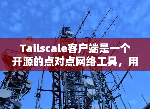 Tailscale客户端是一个开源的点对点网络工具,用于创建和管理安全的私密网络。它可以帮助用户创建一个防火墙保护的网络,确保数据传输的安全性。以下是关于Tailscale客户端的详细信息 Tailscale客户端是一个开源的点对点网络工具,用于创建和管理安全的私密网络。它可以帮助用户创建一个防火墙保护的网络,确保数据传输的安全性。以下是关于Tailscale客户端的详细信息