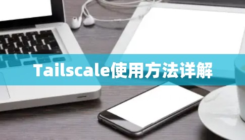Tailscale使用方法详解 Tailscale使用方法详解