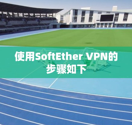使用SoftEther VPN的步骤如下 使用SoftEther VPN的步骤如下