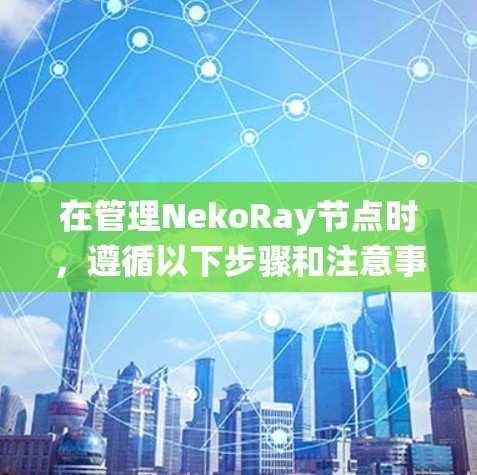 在管理NekoRay节点时,遵循以下步骤和注意事项可以确保系统的稳定性和高效性 在管理NekoRay节点时,遵循以下步骤和注意事项可以确保系统的稳定性和高效性