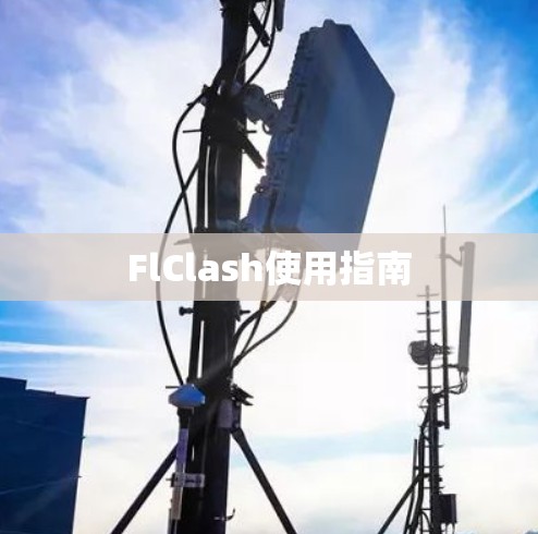 FlClash使用指南 FlClash使用指南