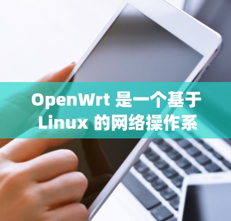 OpenWrt 是一个基于 Linux 的网络操作系统，广泛应用于路由器、边缘设备等场景。以下是 OpenWrt 的使用方法和常见操作步骤