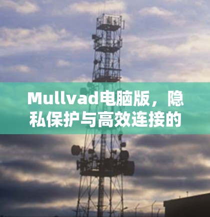 Mullvad电脑版,隐私保护与高效连接的双重保障 Mullvad电脑版,隐私保护与高效连接的双重保障
