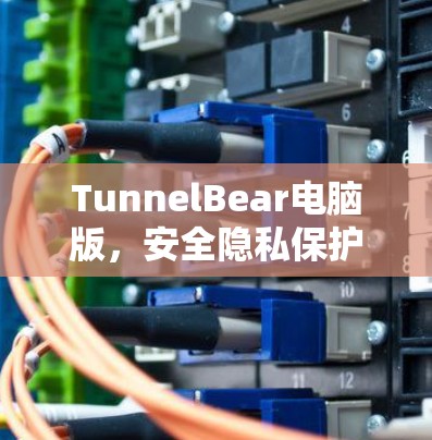 TunnelBear电脑版，安全隐私保护的高效网络解决方案