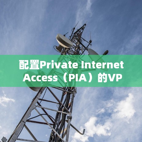 配置Private Internet Access(PIA)的VPN服务步骤如下 配置Private Internet Access(PIA)的VPN服务步骤如下