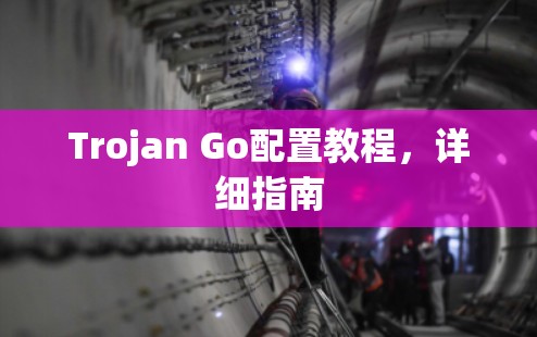 Trojan Go配置教程,详细指南 Trojan Go配置教程,详细指南