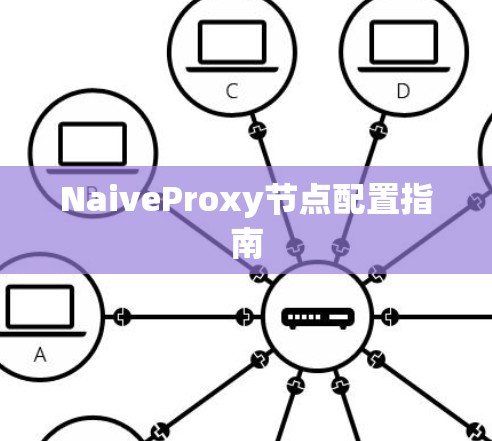 NaiveProxy节点配置指南 NaiveProxy节点配置指南