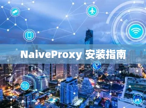 NaiveProxy 安装指南 NaiveProxy 安装指南