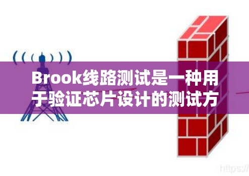 Brook线路测试是一种用于验证芯片设计的测试方法，通过模拟输入和观察输出来检验芯片的功能是否符合预期。以下是关于Brook线路测试的详细说明