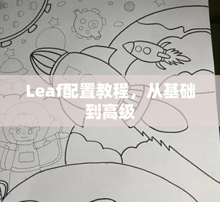 Leaf配置教程,从基础到高级 Leaf配置教程,从基础到高级