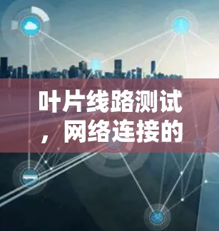 叶片线路测试,网络连接的关键环节 叶片线路测试,网络连接的关键环节