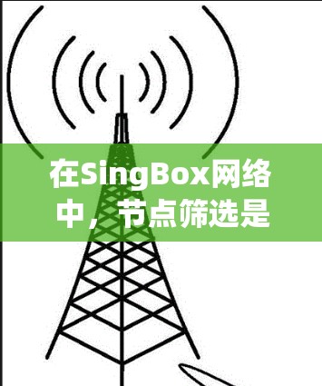 在SingBox网络中,节点筛选是通过特定的过滤条件来选择符合需求的节点,以优化网络性能或满足特定功能需求。以下是详细的步骤和方法 在SingBox网络中,节点筛选是通过特定的过滤条件来选择符合需求的节点,以优化网络性能或满足特定功能需求。以下是详细的步骤和方法