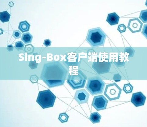 Sing-Box客户端使用教程 Sing-Box客户端使用教程