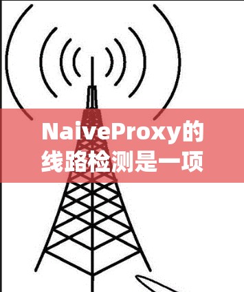 NaiveProxy的线路检测是一项关键的网络管理功能,用于确保网络连接的稳定性和可靠性。以下是对该功能的详细分析 NaiveProxy的线路检测是一项关键的网络管理功能,用于确保网络连接的稳定性和可靠性。以下是对该功能的详细分析