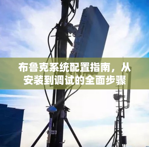布鲁克系统配置指南,从安装到调试的全面步骤 布鲁克系统配置指南,从安装到调试的全面步骤