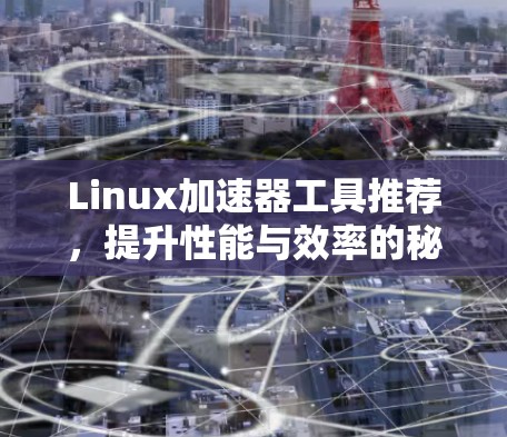 Linux加速器工具推荐,提升性能与效率的秘籍 Linux加速器工具推荐,提升性能与效率的秘籍