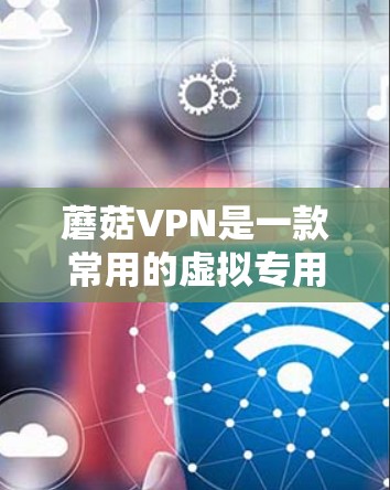 蘑菇VPN是一款常用的虚拟专用网络（VPN）软件，用于提供匿名网络访问和加密通信。以下是下载蘑菇VPN的步骤和一些相关信息