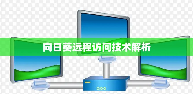向日葵远程访问技术解析